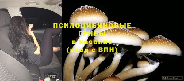 гашишное масло Богородицк
